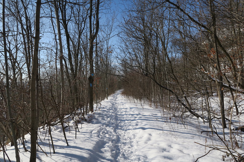 Lower Sydenham Falls | Flamborough, Hamilton, ON L9H 7R7, Canada