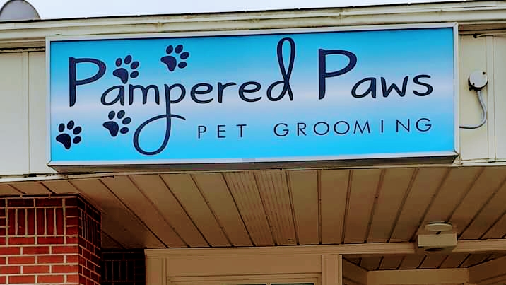 Pampered Paws | 244 Killaly St W, Port Colborne, ON L3K 6A6, Canada | Phone: (289) 690-5699