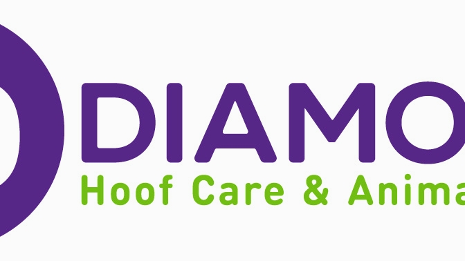 Diamond Hoof Care | 210 Mckechney Ave, Diamond City, AB T0K 0T0, Canada | Phone: (403) 388-4309