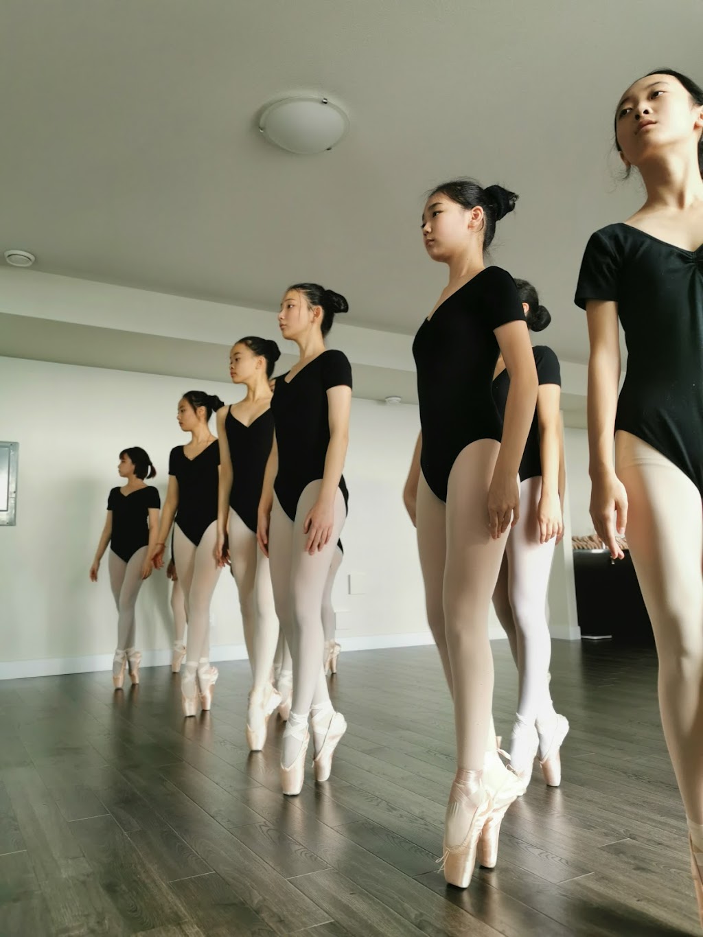 AiBalletDancerWorld | 3534 Harper Rd, Coquitlam, BC V3E 3H3, Canada | Phone: (778) 788-8815