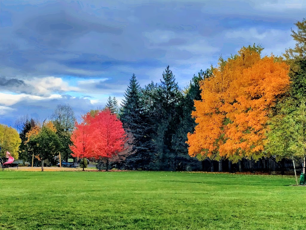 ST Rene Goupil-ST Luke Elementary School | 135 Green Ln, Thornhill, ON L3T 6K7, Canada | Phone: (905) 881-2300