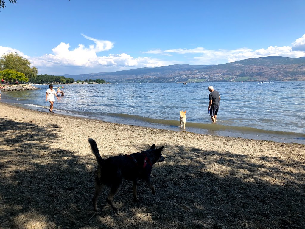 Gellatly Dog Beach | Gellatly Rd, West Kelowna, BC V4T 2K3, Canada | Phone: (250) 768-2712