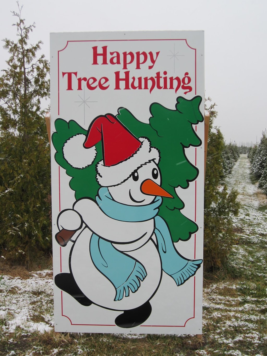 Bastien Christmas Tree Farm | 13106 Concession Rd 13, McGregor, ON N0R 1J0, Canada | Phone: (519) 726-0679