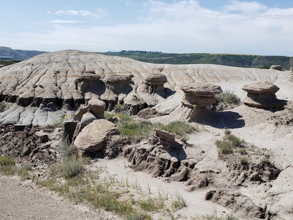 Dinosaur Trail Golf & Country Club | 6455 N Dinosaur Trail, Drumheller, AB T0J 0Y0, Canada | Phone: (403) 823-5622