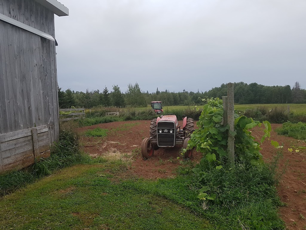 Emmerdale Eden Farm | 10 Emery Rd, Summerside, PE C1N 4J8, Canada | Phone: (902) 436-5180