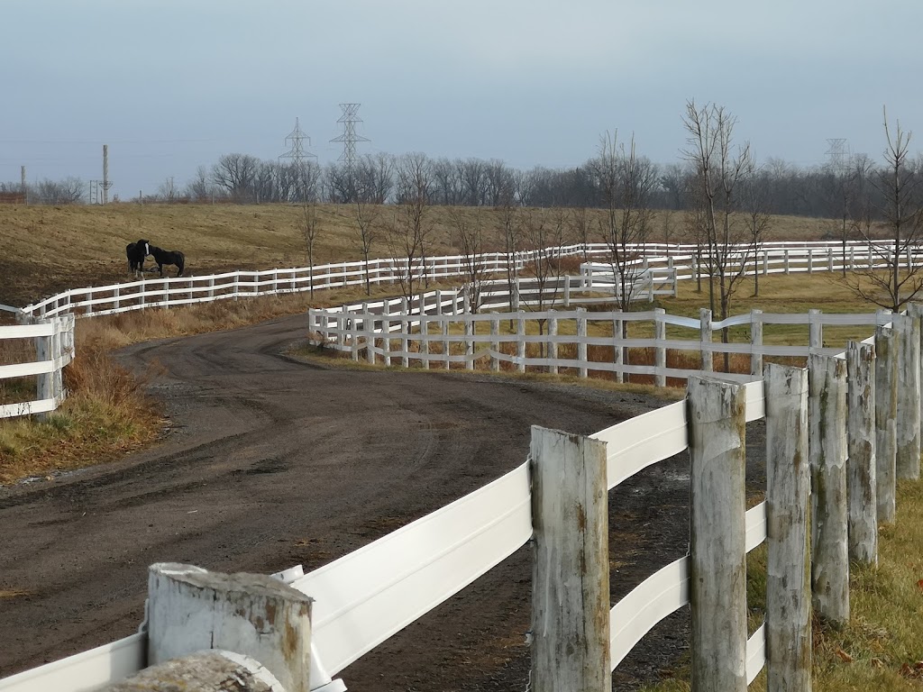 Iron Horse Equestrian Complex | 5244 Side Rd 1, Burlington, ON L7M 1T9, Canada | Phone: (289) 838-5768