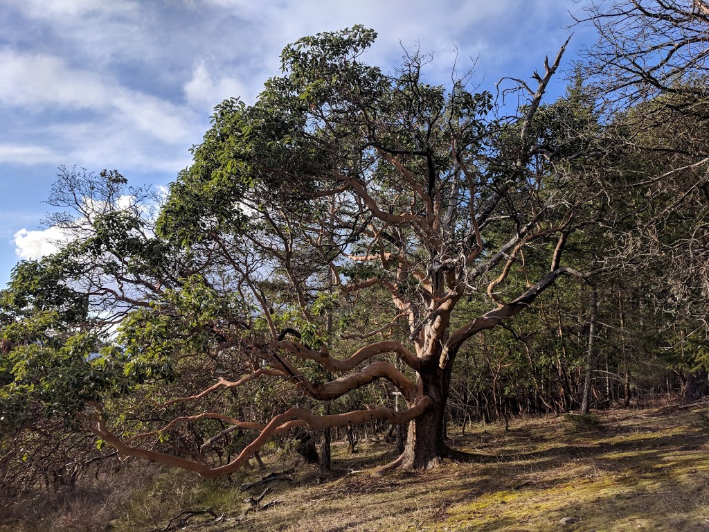 Channel Ridge Trails - Sir Echos Way Access | Sir Echos Way, Salt Spring Island, BC V8K 1E7, Canada | Phone: (250) 360-3000