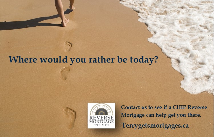 Terry Lynch Mortgage Agent Whitby | 130 Shrewsbury Dr, Whitby, ON L1M 0E3, Canada | Phone: (416) 315-1787