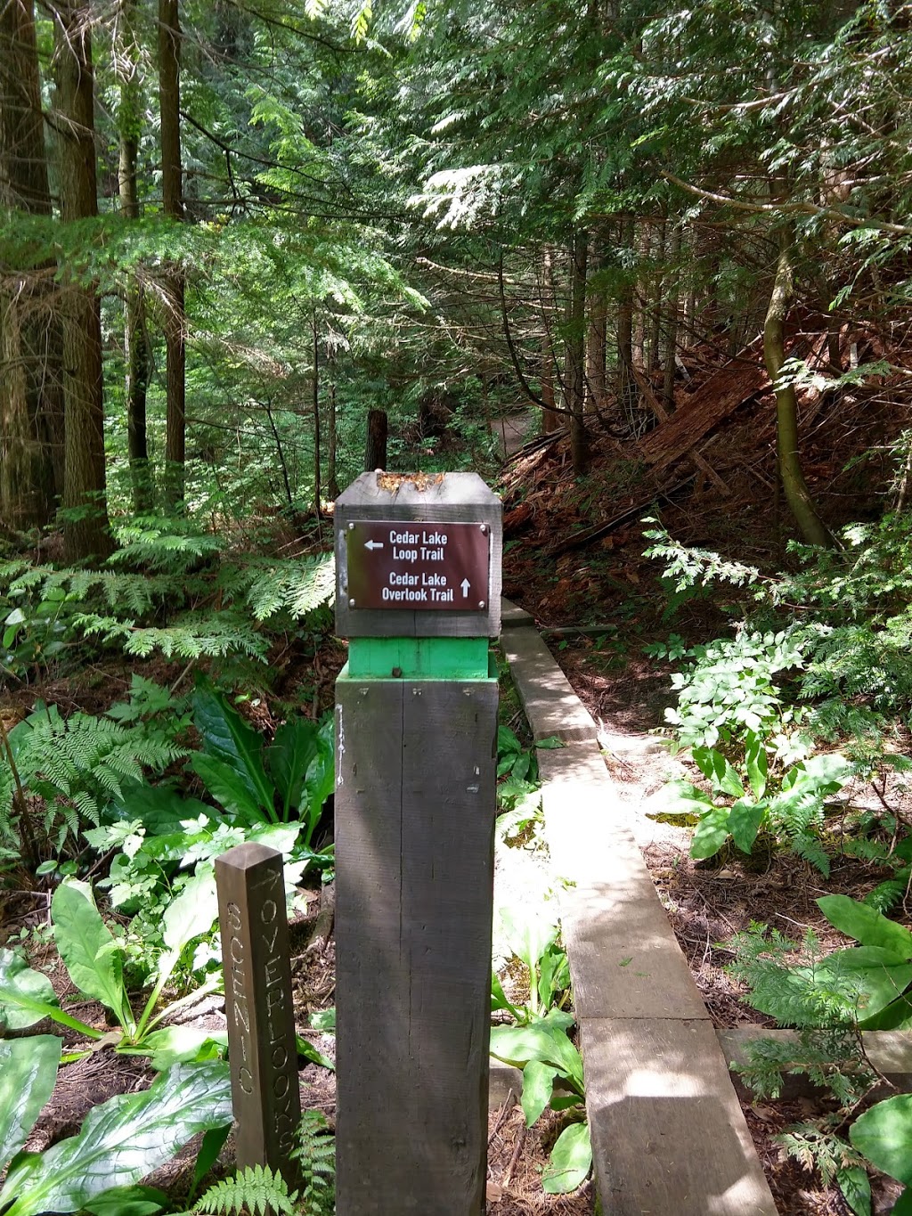 Cedar Lake Overlook | Bellingham, WA 98229, USA