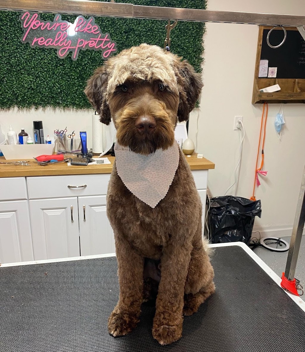 Pleasant Valley Groomers | 69 Terrace Dr, Hamilton, ON L9H 3X1, Canada | Phone: (905) 536-9889