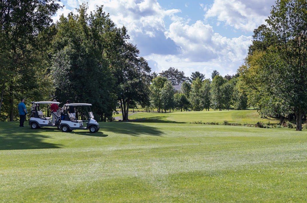 Klodan Golf Carts Sales & Rentals | 844 Aurele Rd, Casselman, ON K0A 1M0, Canada | Phone: (613) 325-7608