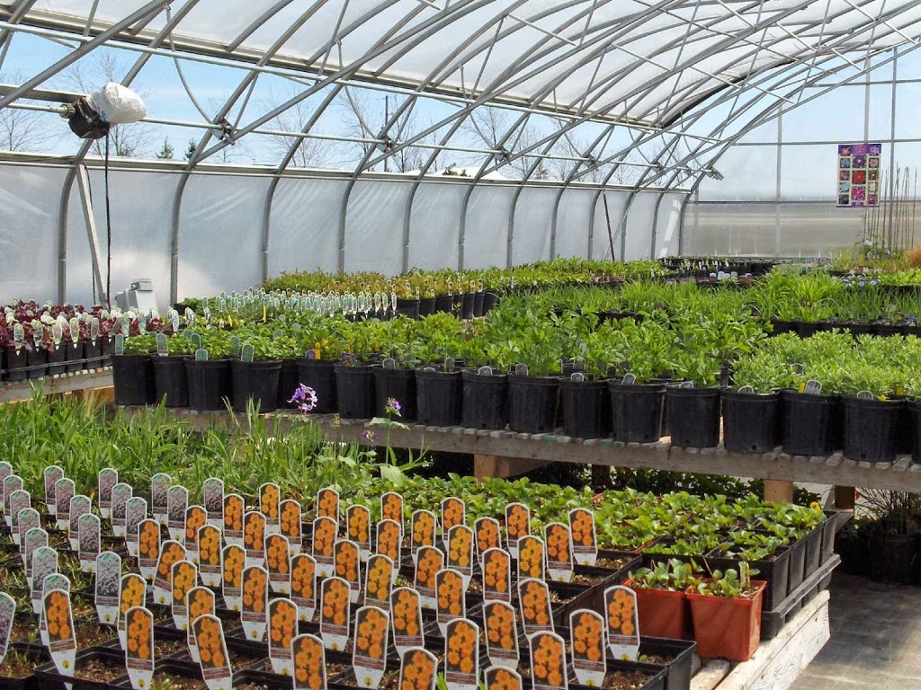 Arthur Greenhouses | 7470 2 Line, Arthur, ON N0G 1A0, Canada | Phone: (519) 848-6816