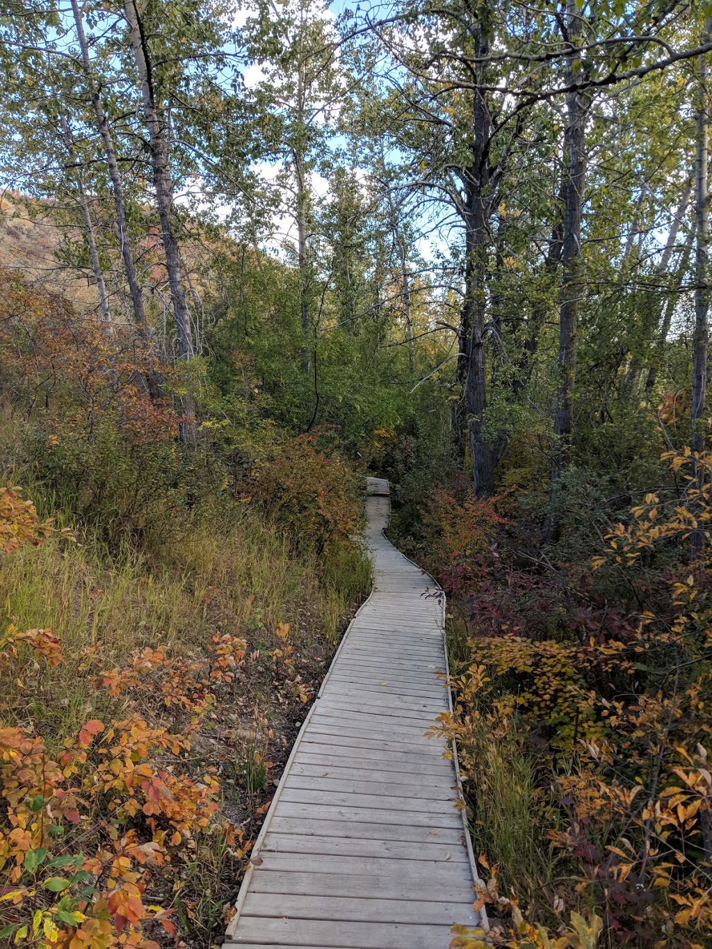 Silver throne park | Silver Springs, Calgary, AB T3B 3P5, Canada