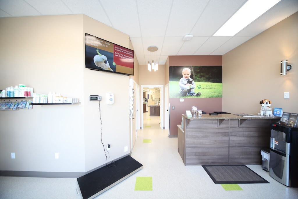 Oxford Animal Hospital | 15154 127 St NW, Edmonton, AB T6V 0C5, Canada | Phone: (780) 705-2131