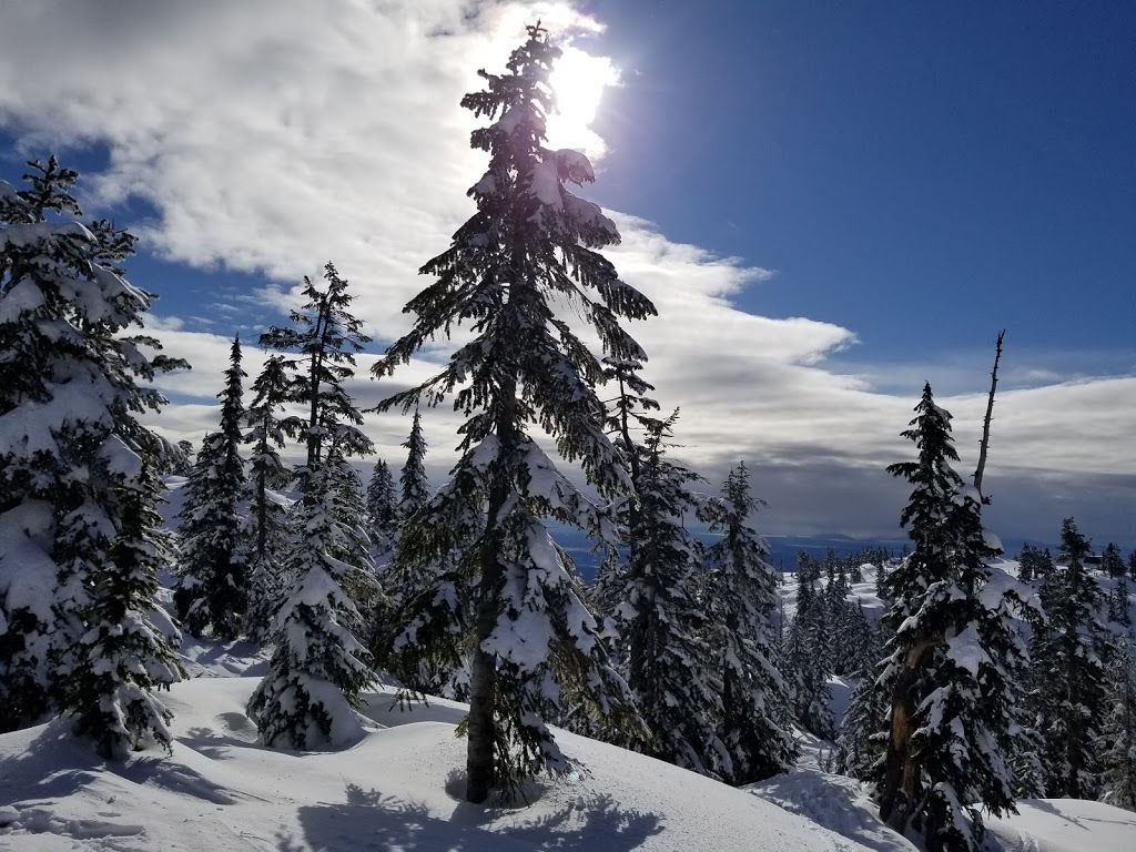 Elsay Lake Trail | Unnamed Road, North Vancouver, BC V7H, Canada