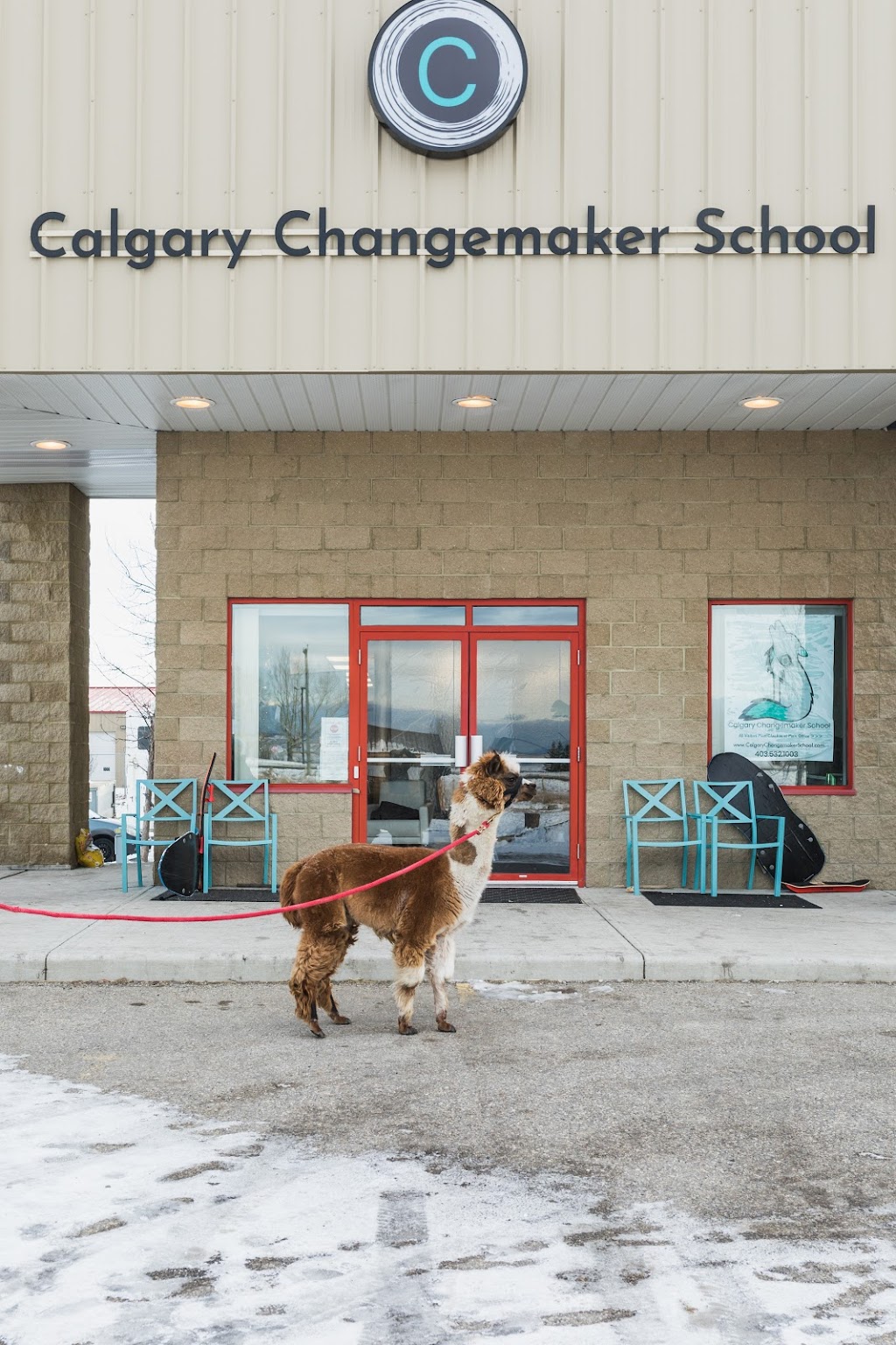 Calgary Changemaker School | 16 Commercial Dr #101, Calgary, AB T3Z 2A7, Canada | Phone: (403) 532-1003