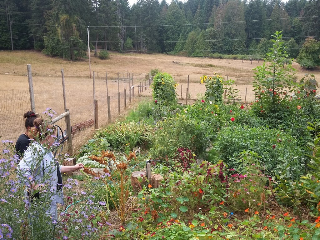 North End Farm | 2521 N End Rd, Salt Spring Island, BC V8K 1A5, Canada | Phone: (250) 537-4442