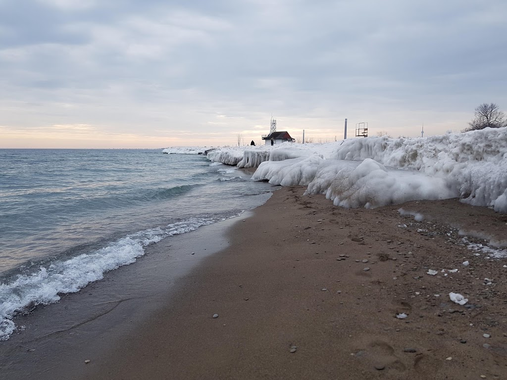 Sliver birch dog park | The Beach, Toronto, ON M4L 1B8, Canada