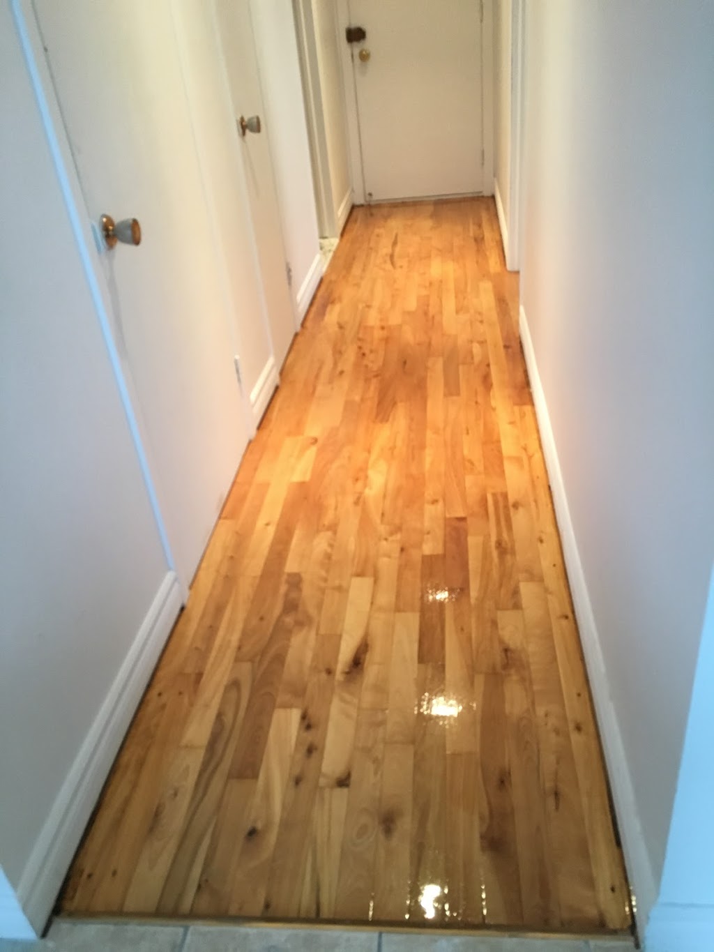 Planchers Xilo - Floor Sanding and Refinishing | 3016 Rue Marcel, Saint-Laurent, QC H4R 1B1, Canada | Phone: (514) 573-1092