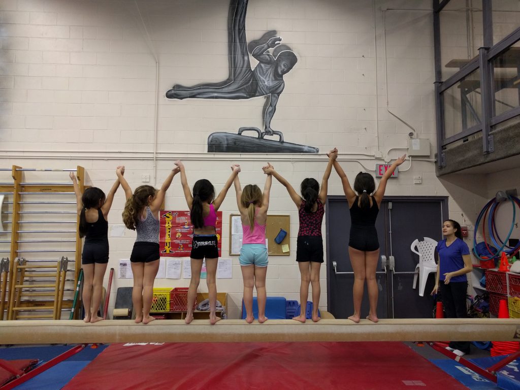 Surrey Gymnastic Society | 13940 77 Avenue (BEHIND Frank Hurt Secondary), Surrey, BC V3W 5Z4, Canada | Phone: (604) 594-2442