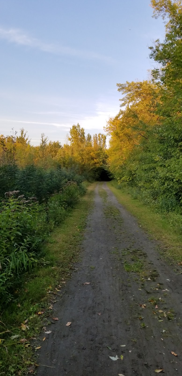 Marais Miller Rosemère | Rosemère, QC J7A 3W1, Canada