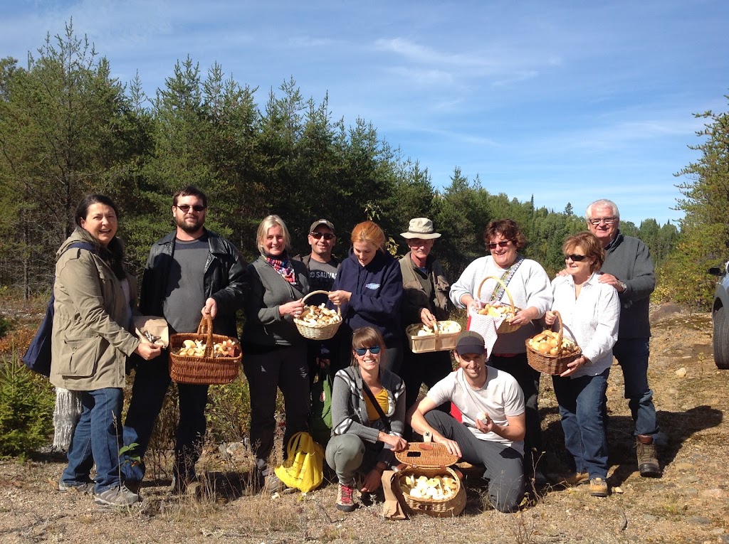 Les champignons du Lac-Édouard | 265 Rue Principale, Lac-Édouard, QC G0X 3N0, Canada | Phone: (819) 653-2052