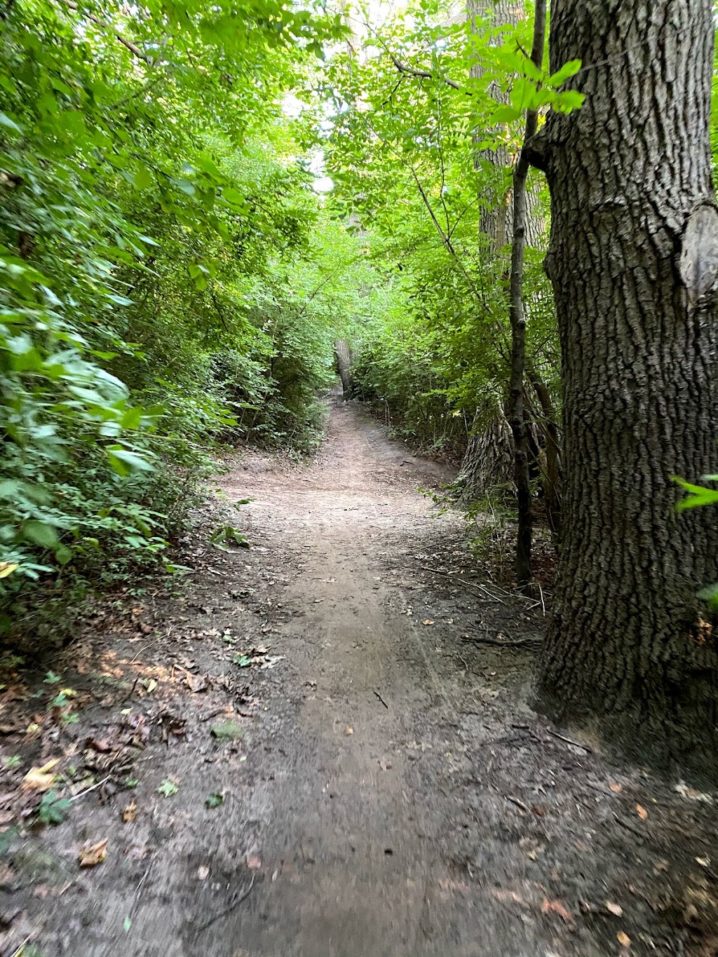 Grenadier Pond | High Park-Swansea, Toronto, ON M6S, Canada | Phone: (416) 721-2012