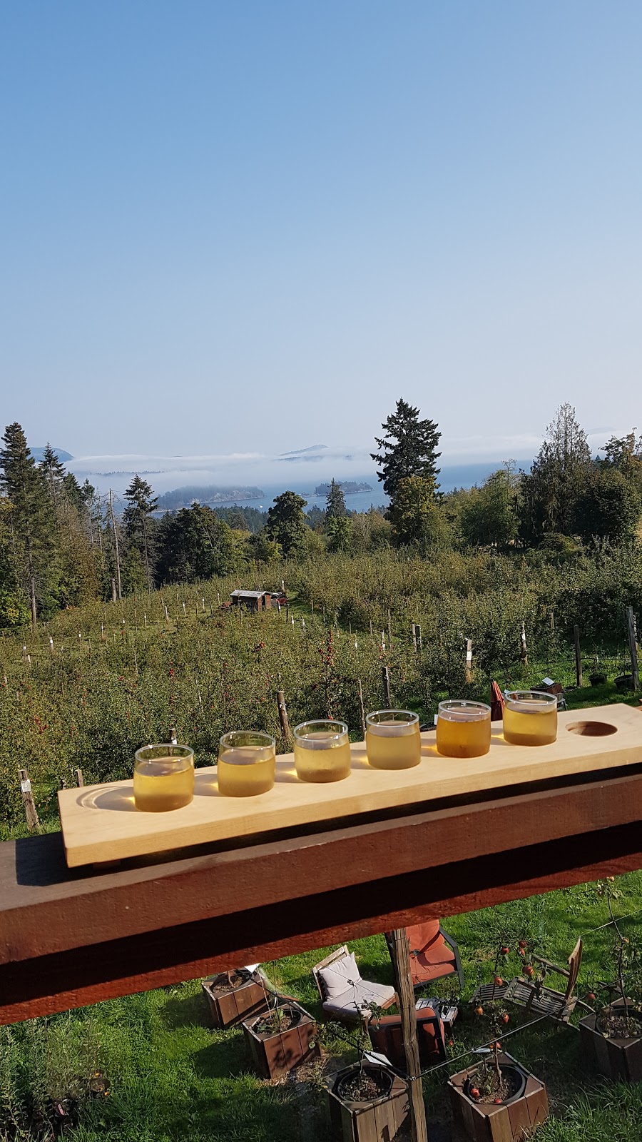 Ciderworks | 529 Fulford-Ganges Rd, Salt Spring Island, BC V8K 2K1, Canada | Phone: (250) 538-2197