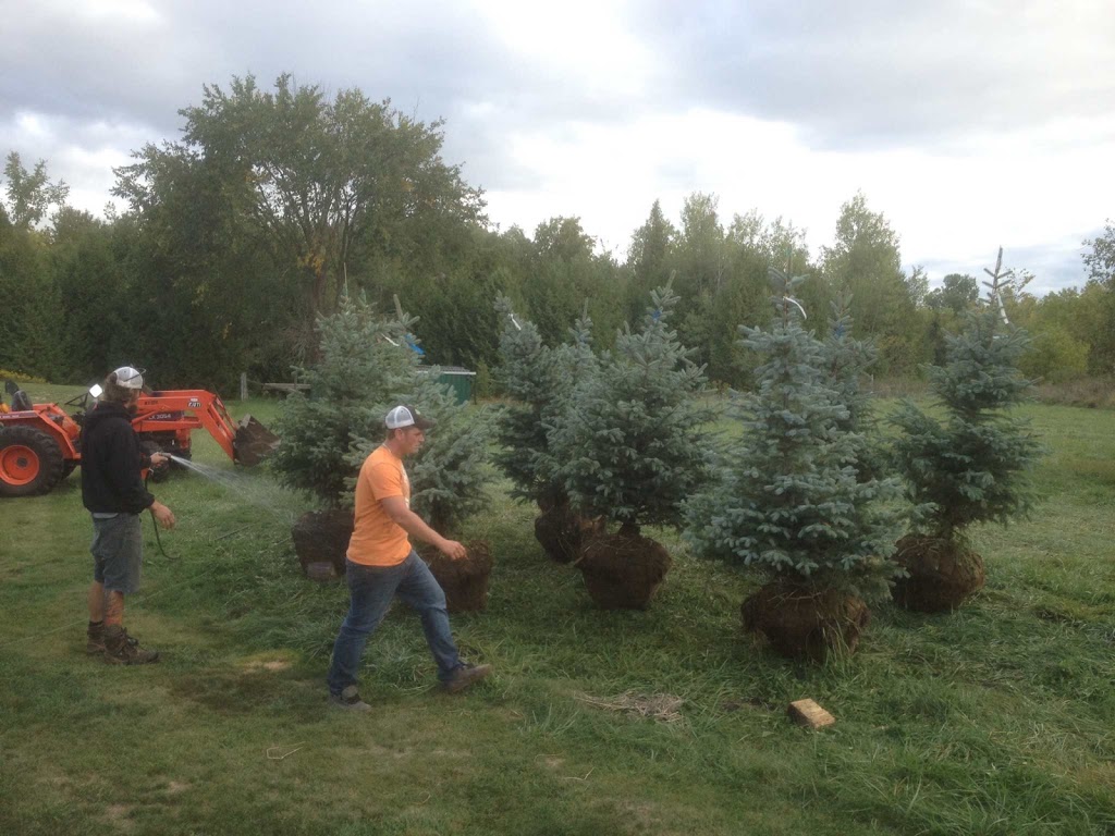 Kearns Tree Service | 108 Opmar Rd, Little Britain, ON K0M 2C0, Canada | Phone: (705) 308-1135