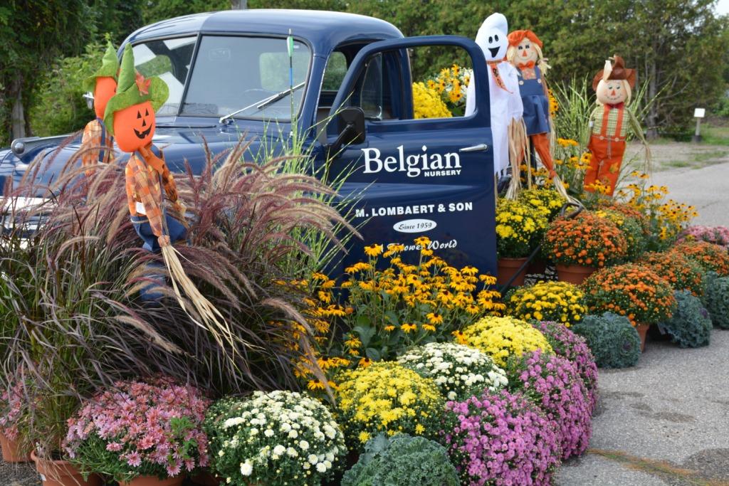 Belgian Nursery | 2615 Victoria St N, Breslau, ON N0B 1M0, Canada | Phone: (519) 648-2608