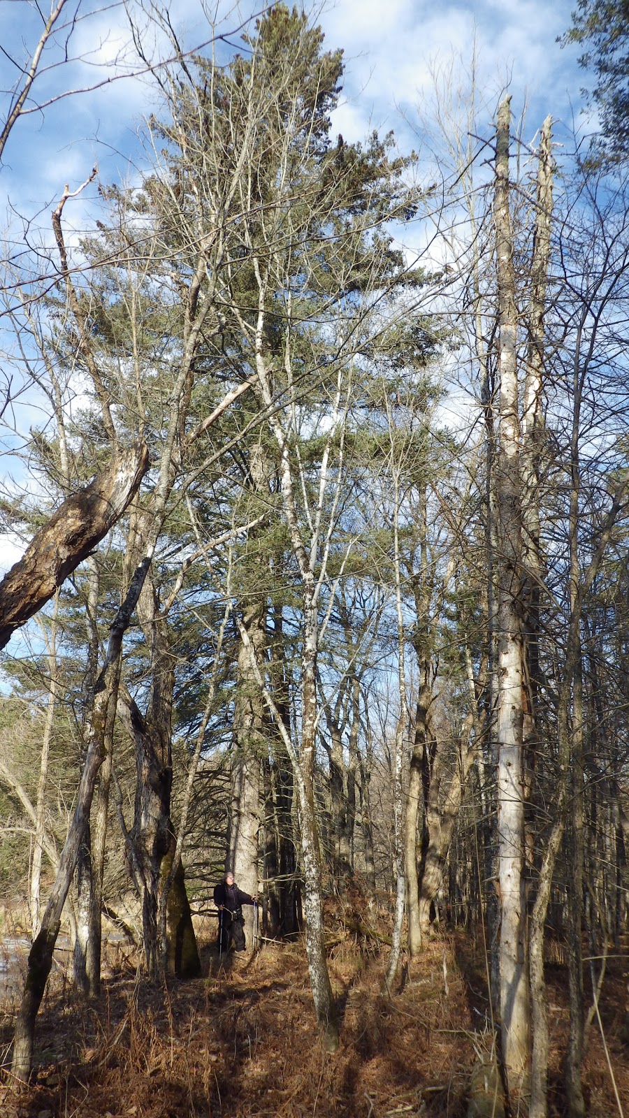 Sentier de la rivière du Chêne, secteur des Trois-Fourches | Saint-Édouard-de-Lotbinière, QC G0S 1Y0, Canada | Phone: (418) 926-3407