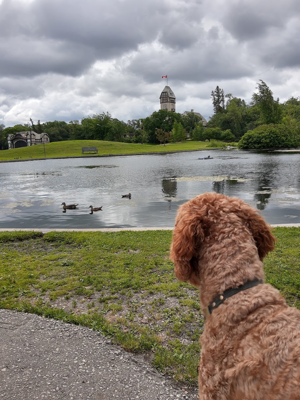 Assiniboine Park Duck Pond Shelter | Assiniboine Park, Winnipeg, MB R3P 2N8, Canada | Phone: (204) 927-6000