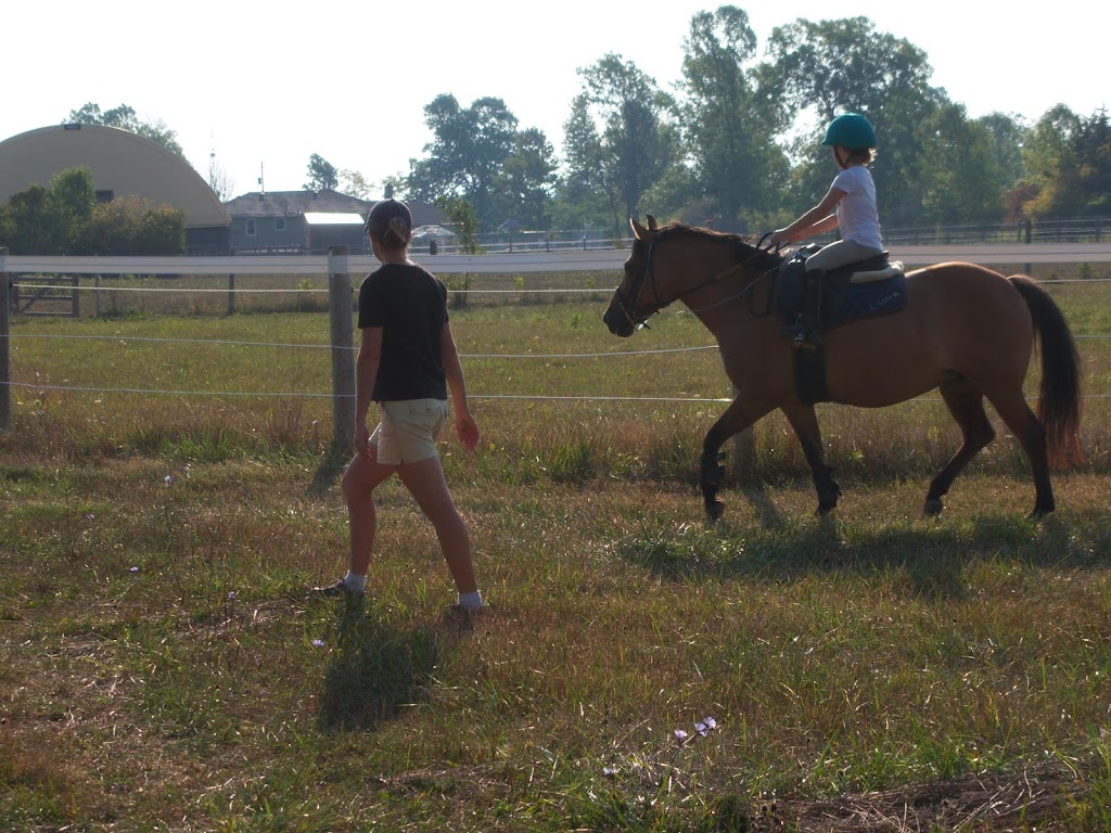 Aspen Acres Farms | Rathfon Rd, Port Colborne, ON L3K 5V4, Canada | Phone: (289) 686-2516