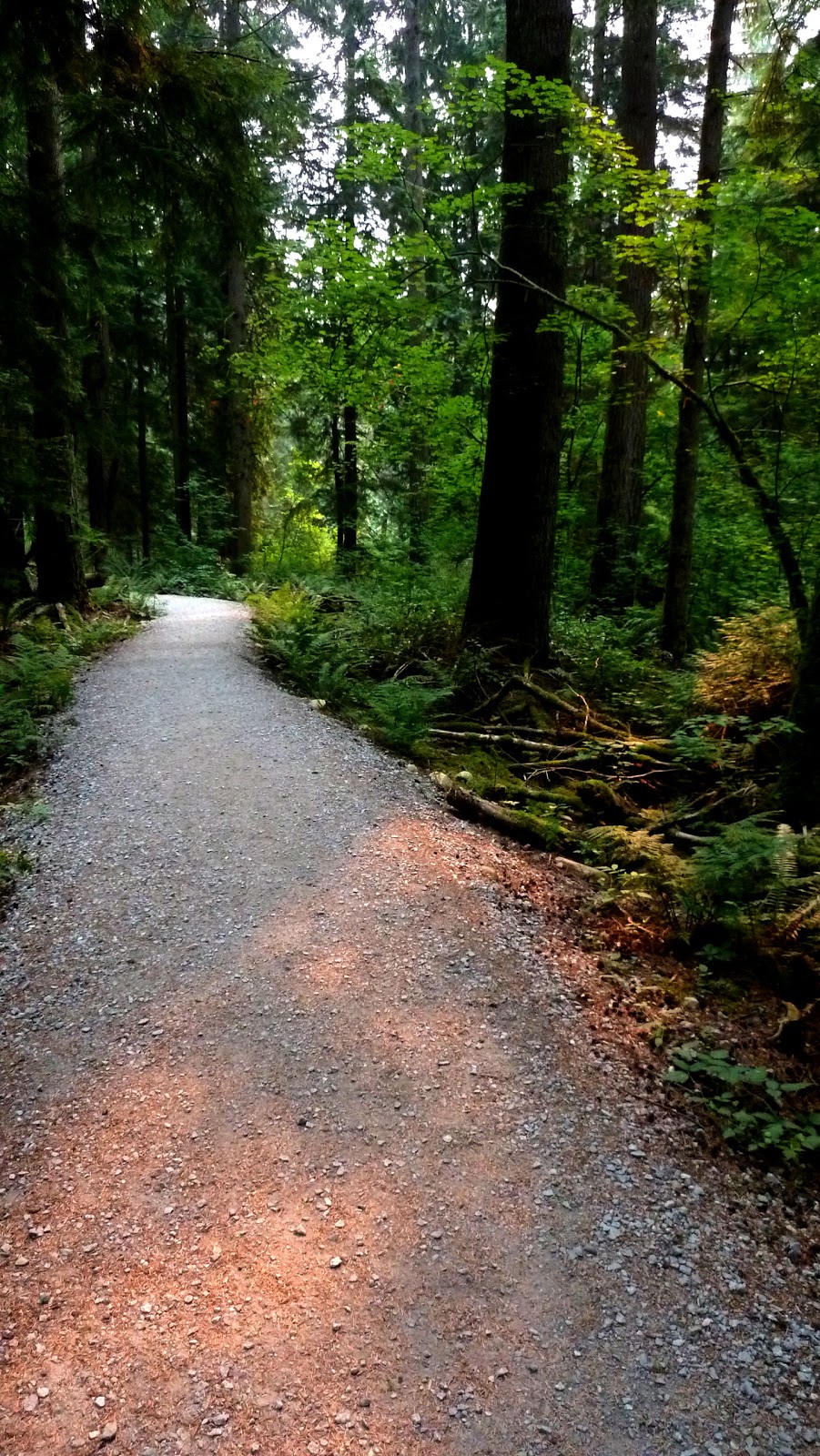 Old Buck Trailhead | North Vancouver, BC V7G, Canada