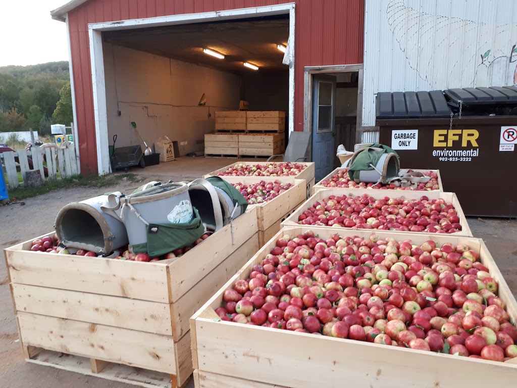 Dempsey Corner Orchards | 2717 NS-221, Aylesford, NS B0P 1C0, Canada | Phone: (902) 679-8701