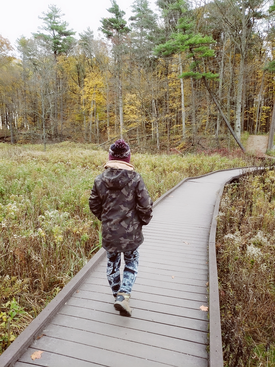 Catfish Creek Conservation Authority | 8079 Springwater Rd, Aylmer, ON N5H 2R4, Canada | Phone: (519) 773-9037