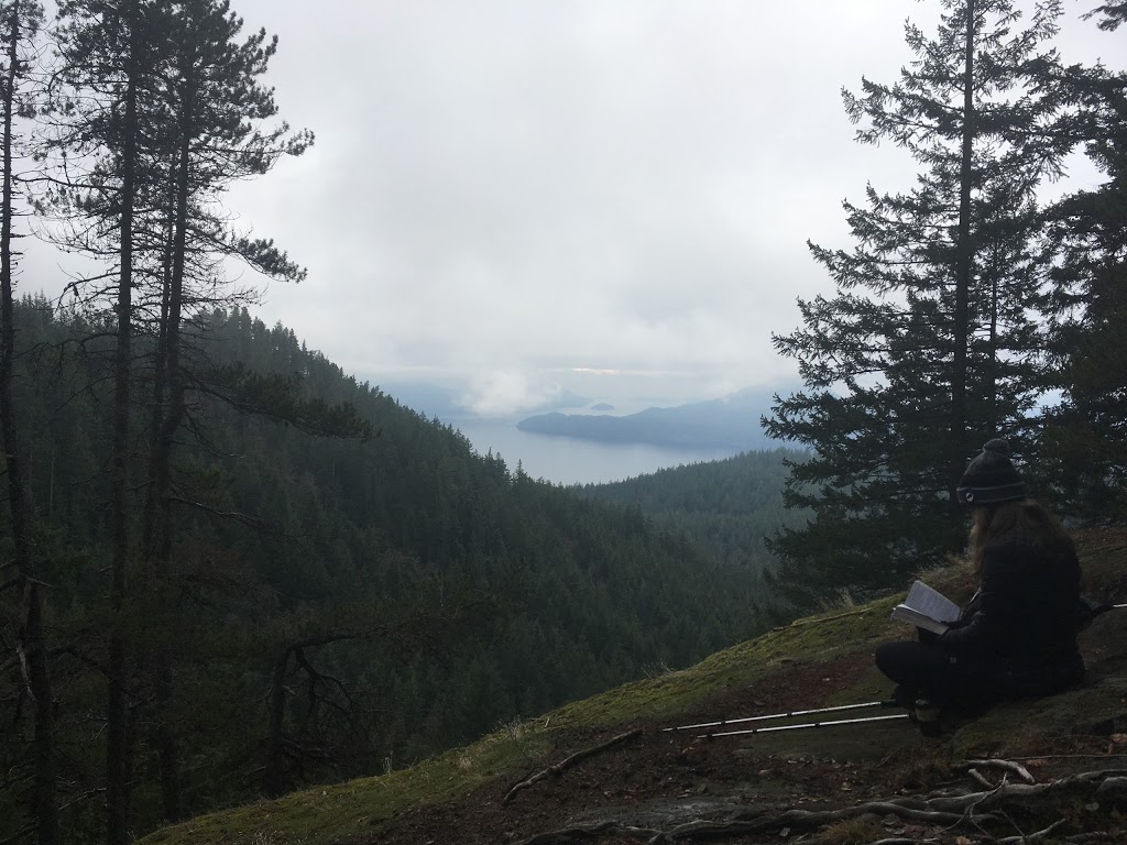 Trailblazer Lookout | Howe Sound Crest Trail, Squamish-Lillooet D, BC V0N, Canada