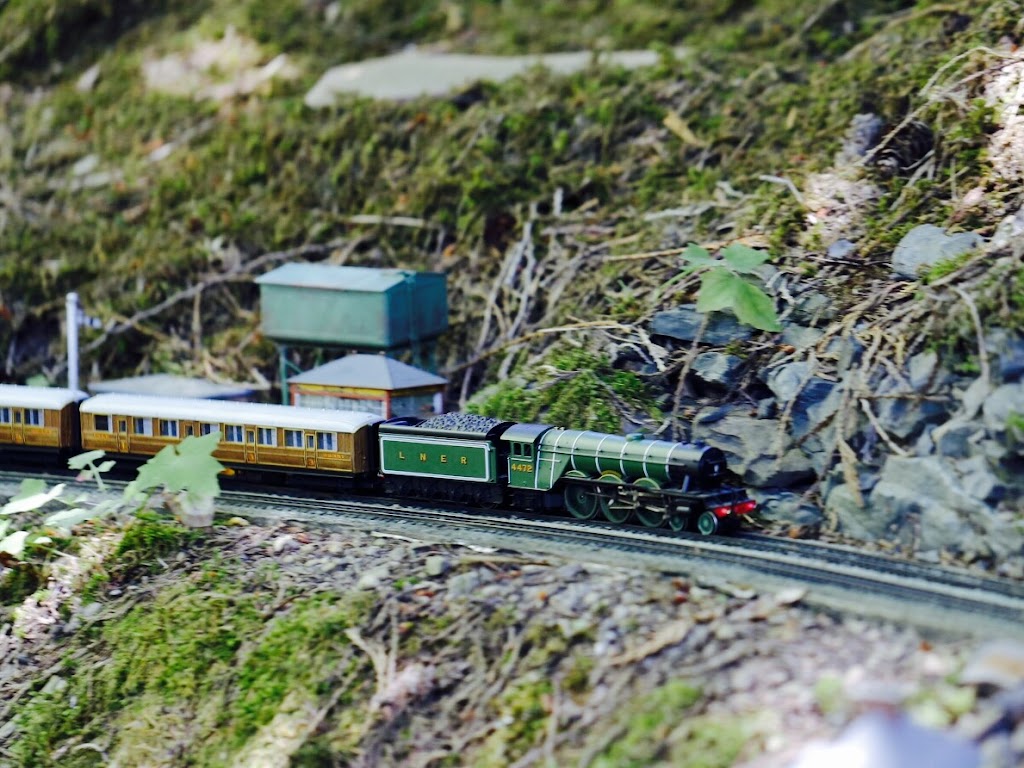 Model Railway Show | 105 Twinflower Way, Salt Spring Island, BC V8K 1R4, Canada | Phone: (250) 538-5520