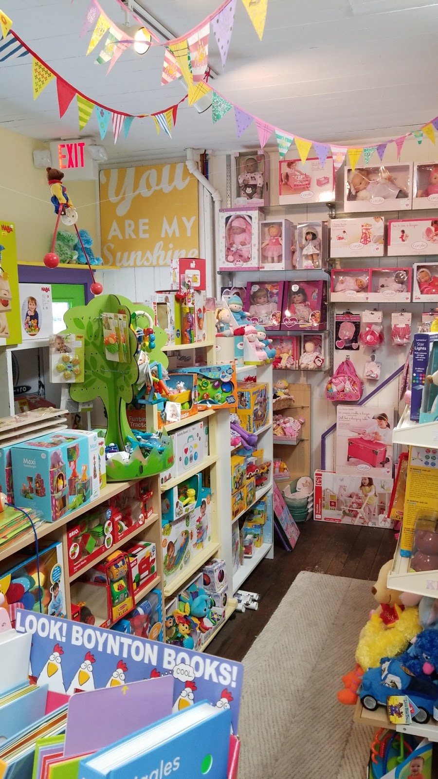 The Toy Loft | 719 Main St, East Aurora, NY 14052, USA | Phone: (716) 652-3277