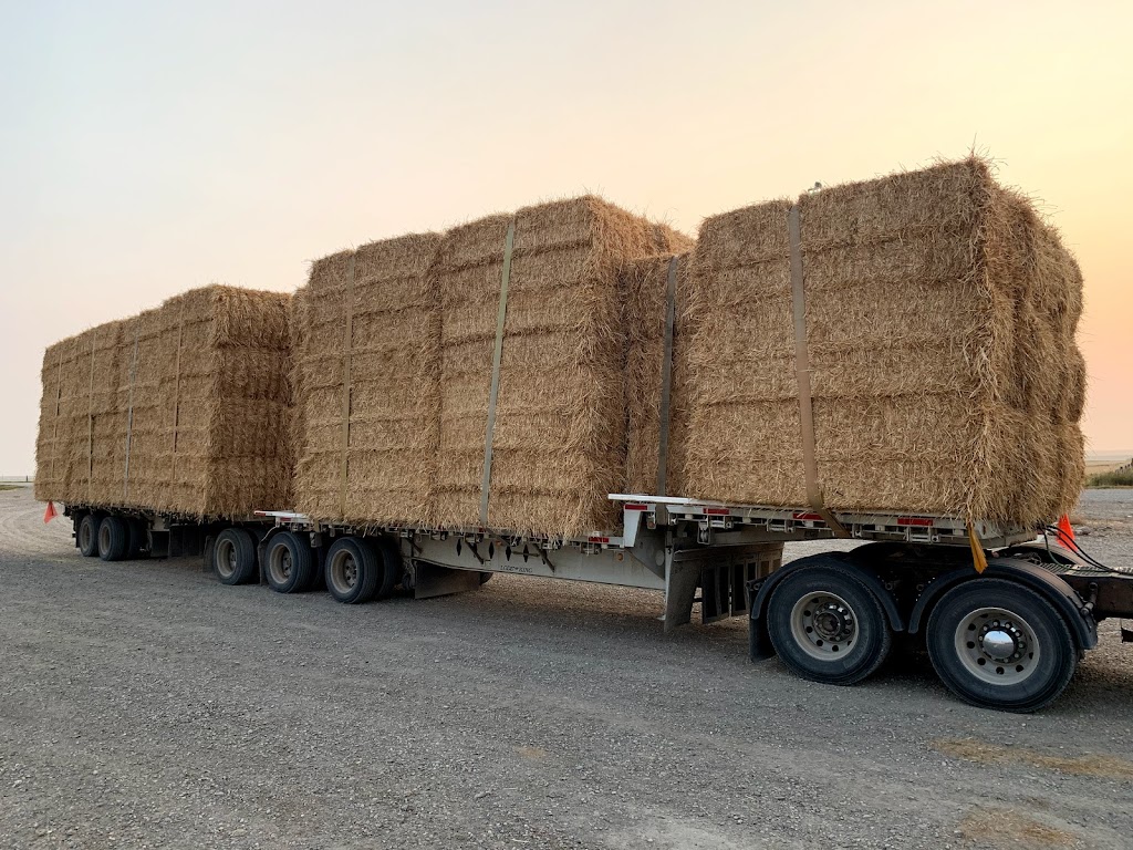 Boot Hay Farms Ltd | 85034 RR245, Monarch, AB T0L 1M0, Canada | Phone: (403) 330-3027