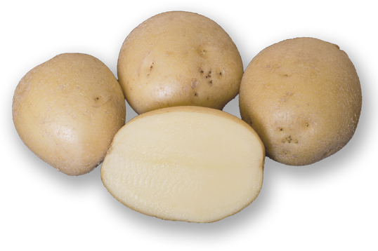 Real Potatoes Ltd | 614 Capital Dr, Cornwall, PE C0A 1H8, Canada | Phone: (902) 368-2669