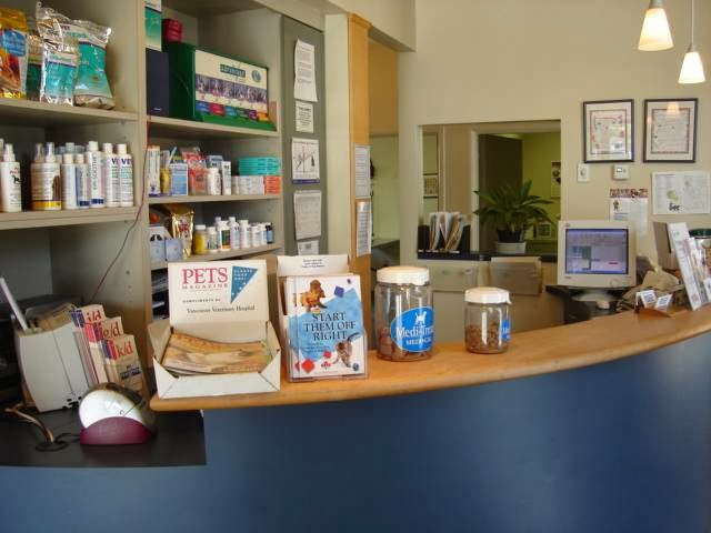 Vancouver Veterinary Hospital | 1541 Kingsway, Vancouver, BC V5N 2R8, Canada | Phone: (604) 876-2231