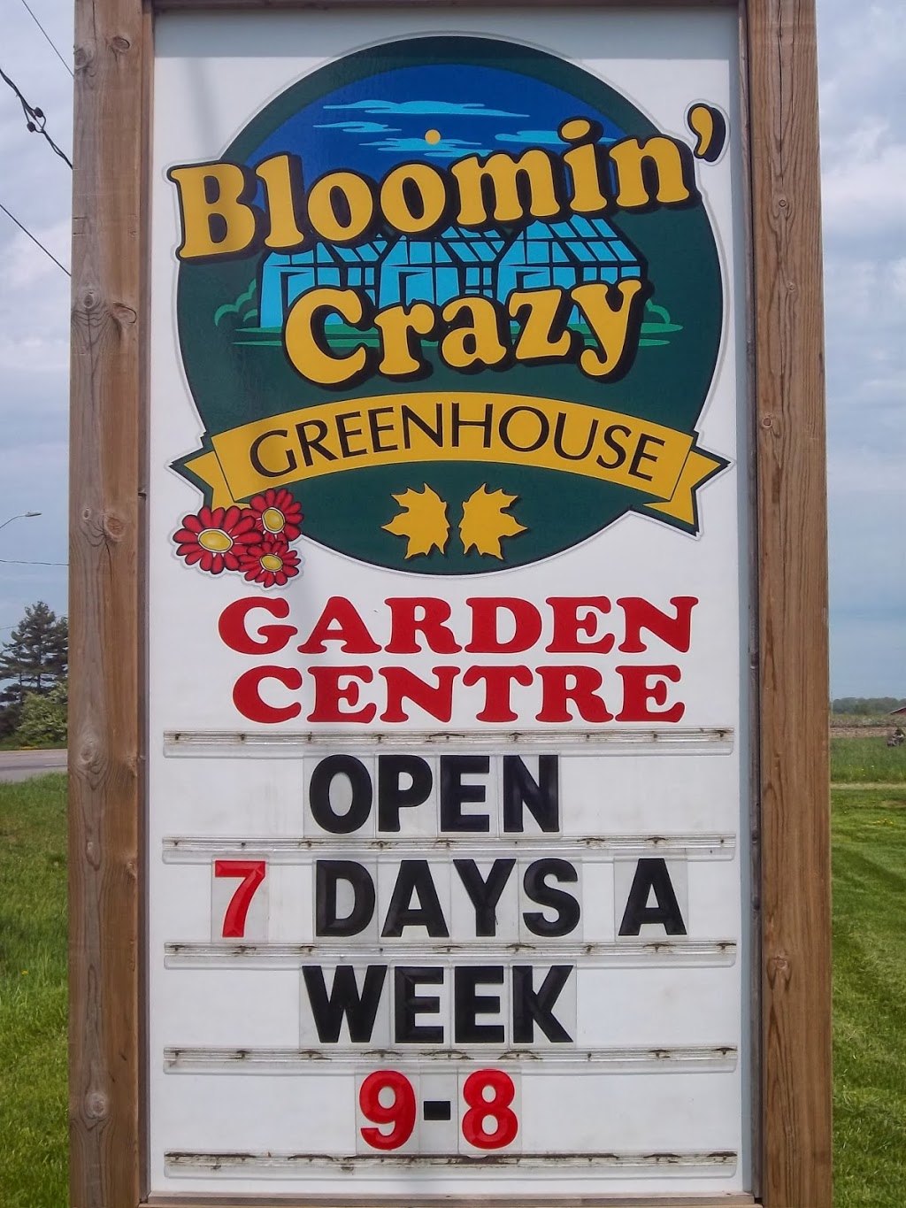 Bloomin Crazy Garden Centre | 230 Hwy 20 E, Fonthill, ON L0S 1E6, Canada | Phone: (905) 980-4376