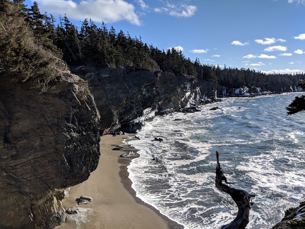 Gaff Point | Gaff Point Trail, Lunenburg, NS B0J 2W0, Canada