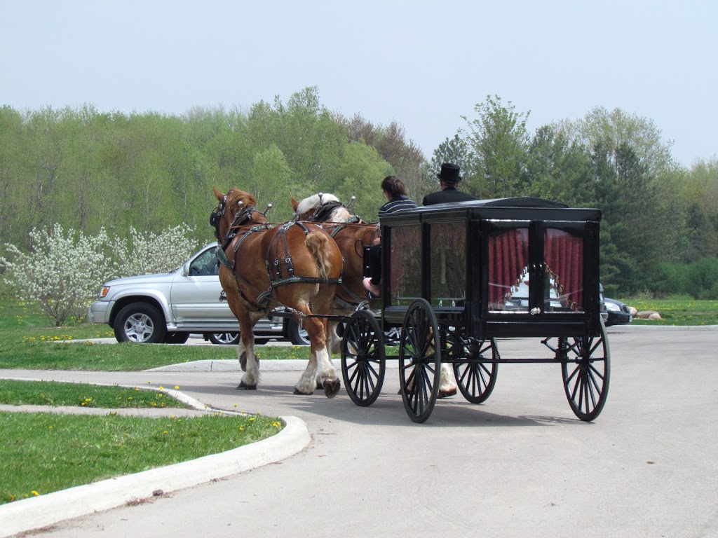 Evergreen Hill Farm- Horse Drawn Services | 687 St Johns Rd E, Port Dover, ON N0A 1N2, Canada | Phone: (519) 426-2155