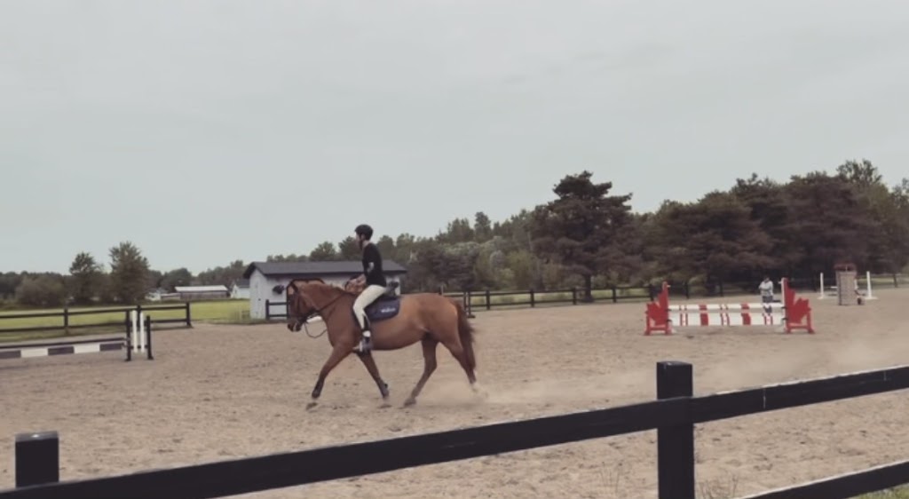 Wynbrook Equestrian Centre | 6222 Dunning Rd, Vars, ON K0A 3H0, Canada | Phone: (613) 371-5293