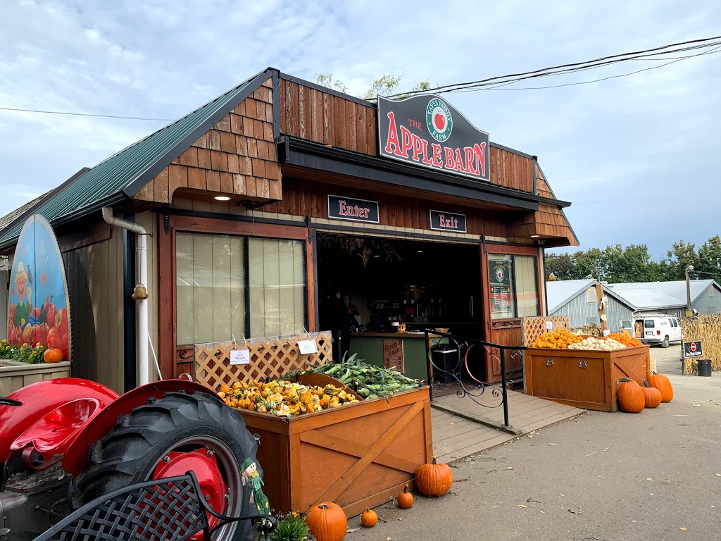 Applebarn Pumpkin Farm (Taves Farms) | 333 Gladwin Rd, Abbotsford, BC V2S 8A7, Canada | Phone: (604) 853-3108