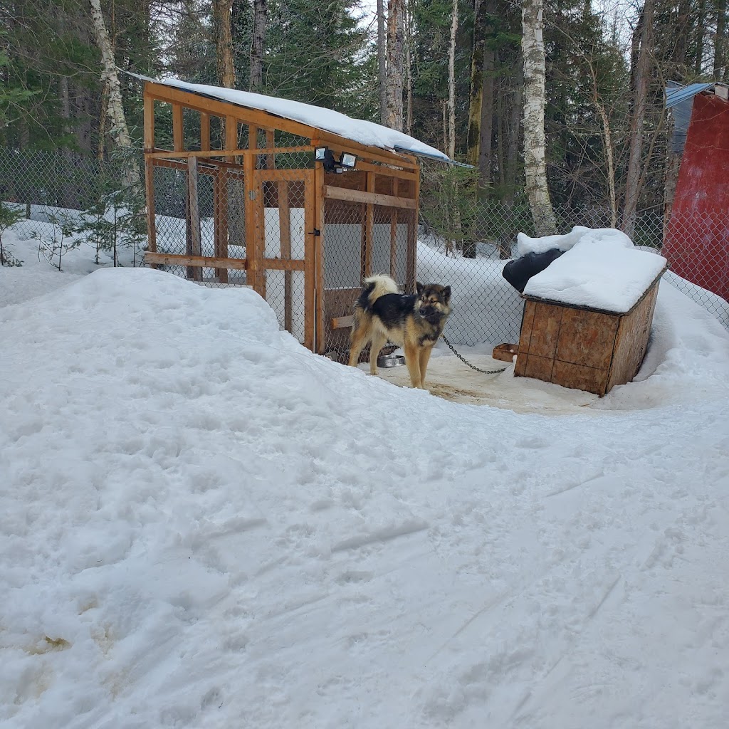 La ferme à minuit | 603 Rang 7e, Sainte-Monique, QC G0W 2T0, Canada | Phone: (418) 347-3152