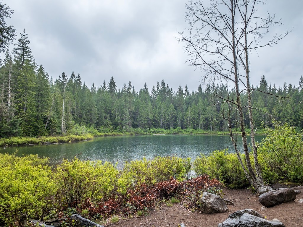 4 Lakes Trail | Unnamed Road, Brackendale, BC V0N 1H0, Canada