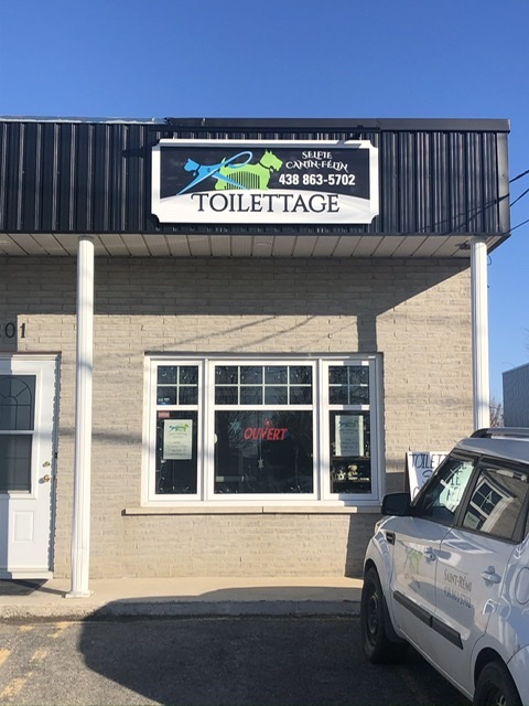 Toilettage Selfie Canin, Félin | 201 Rue de lÉglise, Saint-Rémi, QC J0L 2L0, Canada | Phone: (438) 863-5702